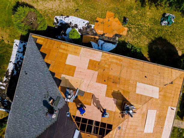 Professional Roofing Contractor in Shady Hollow, TX