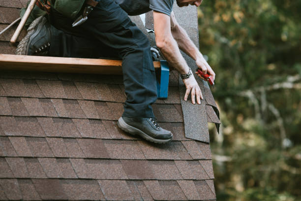 Best New Roof Installation  in Shady Hollow, TX